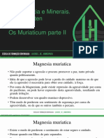 Aula 73 - Homeopatia e Minerais. Jan Scholten Os Muriaticum Parte II