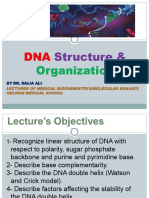 DNA Structure