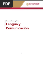 Lengua y Comunicacion - Sintetico