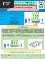 Calculos Hidraulicos de Humedales