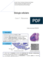 Cours 7 - Ribosomes