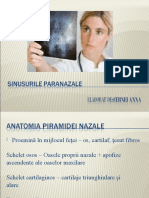 Sinusurile Paranazale