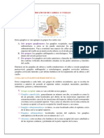 Linfaticos de Cabeza y Cuello