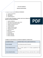 Grupo 7 Esfenoides