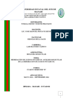 Hidridación de Ácidos Nucleicos. Análisis Molecular de La Hidribación de Ácidos Nucleicos.