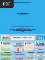 Mapa Habilidades Comunicativas