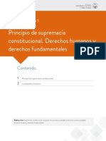 5 Principio de Supremacia Constitucional - Derechos Fundamentales