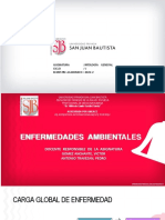 6 - Enfermedades Ambientales PAT. GENERAL - 2022-2 - ICA