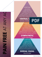 Polyvagal Ladder