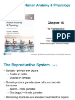 Reproductive System Reviewer