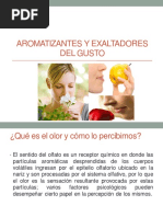 Aromatizantes y Exaltadores Del Gusto