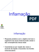 Aula 3 - Inflamacao I