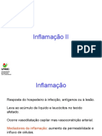 Aula 4 - Inflamacao II