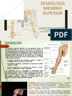 Semiología Miembro Superior Exposicion Isabel Rangel Grupo 102