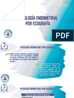 Patología Endometrial Por Ecografía