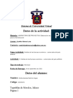 Análisis de Las Fuerzas Económico - Comerciales Del País Anfitrión