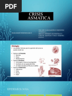 Crsis Asmatica