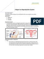 Reproductive System