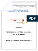 Informe Mensual Covid 19 - Diciembre