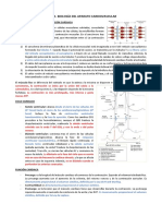 CARDIOLOGÍA - Resumen