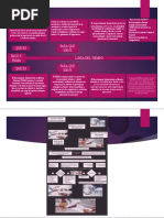 Linea de Tiempo e Infografia