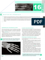 Fisioterapia en Luxaciones y Lesiones Tendinosas Del Carpo y La Mano (8 Páginas)