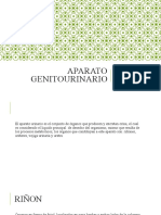 Aparato Genitourinario