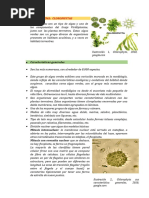 Clorofita - Caracteristicas-Ciclo de Vida