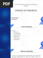 Cáncer de Páncreas