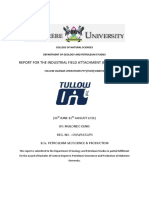 Tullow Oil Internship Project - Mulondo Denis