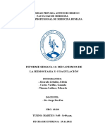 Informe Semana 12 Fisiología Tema: Homeostasia Upao Piura