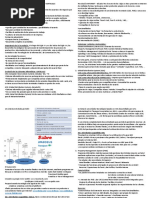 Tema 3 ModificadoYo IMPRIMIR Acutalizado