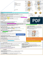 Anatomia Do Joelho Moquinha TEOT 2021