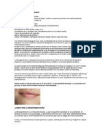 PDF Documento