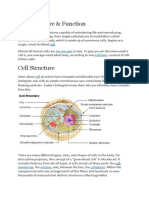 Cell Structure