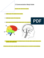 Unit 2 Communication Study Guide