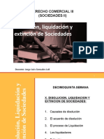 Disolucion y Liquidacion de Sociedades - Extincion Por Prolongada Inactividad