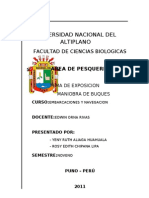 Maniobra de Buques - Informe