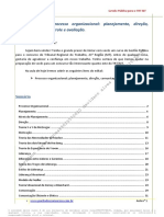 1 Processo Organizacional 1