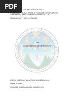 Analisis Regimen Penitenciario