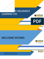 Company intro-DSO