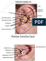 Resumão Auriculo