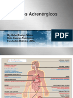 Adrenérgicos Enf 2022