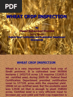 Wheat Crop Inspection