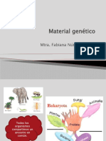 Material Genetico