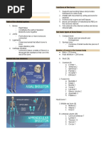 Skeletal System