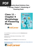 Maharashtra Board Solutions Class 11 Biology Chapter 9 Morphology of Flowering Plants