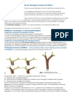 Cholangiocarcinome Péri Hilaire