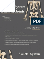 Skeletal System