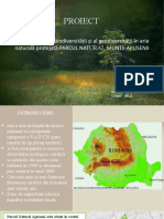 Proiect - Parcul National Apuseni - Staicu Bianca Stefania